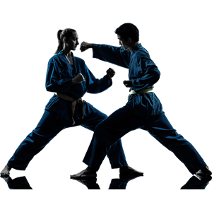 Karate PNG-55469